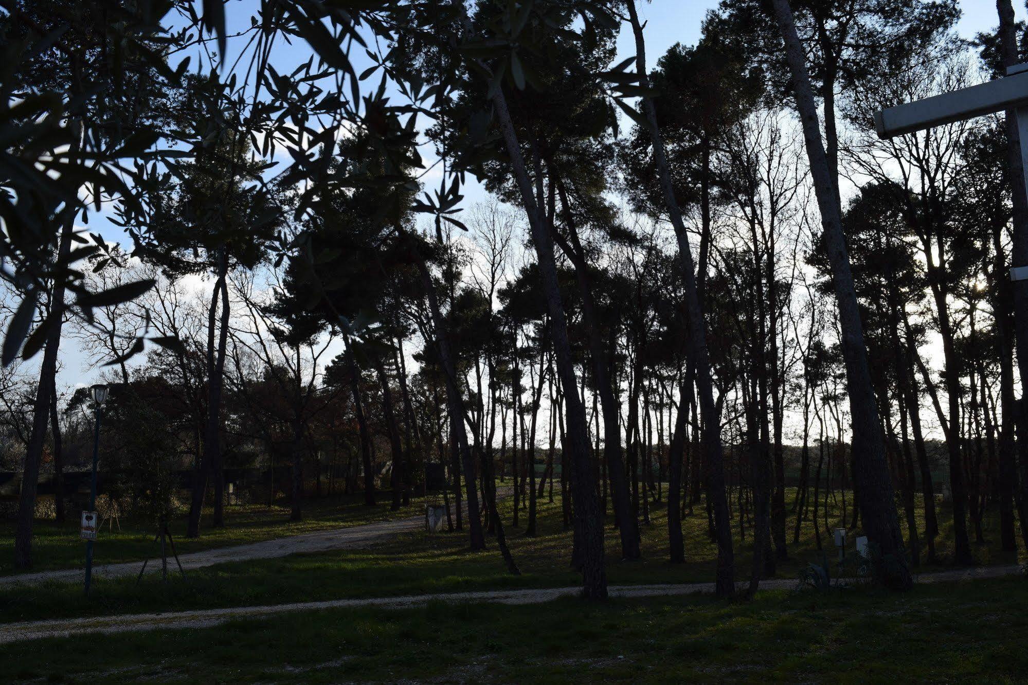 Villaggio Camping Bosco Selva Alberobello Buitenkant foto